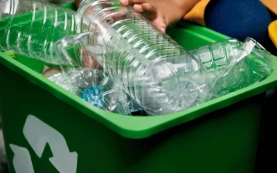 The path from recyclable to recycled