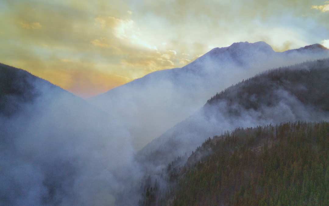 Why carbon matters: The economic and social impact